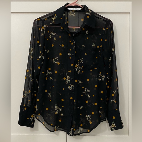 Zara sheer blouse. EUC - Picture 2 of 7
